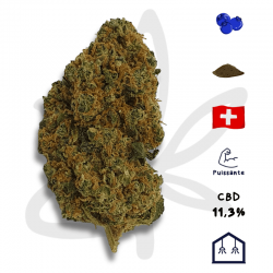 Fleur CBD Blueberry