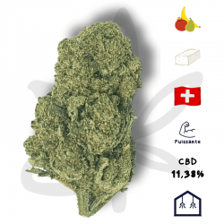 Fleur CBD Harlequin