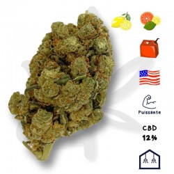 Fleur CBD Amnesia US