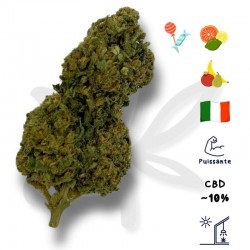 Fleur CBD BZ1