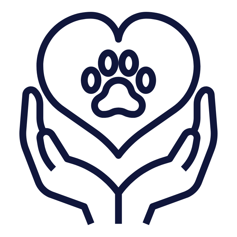 CBD animaux CBD animaux