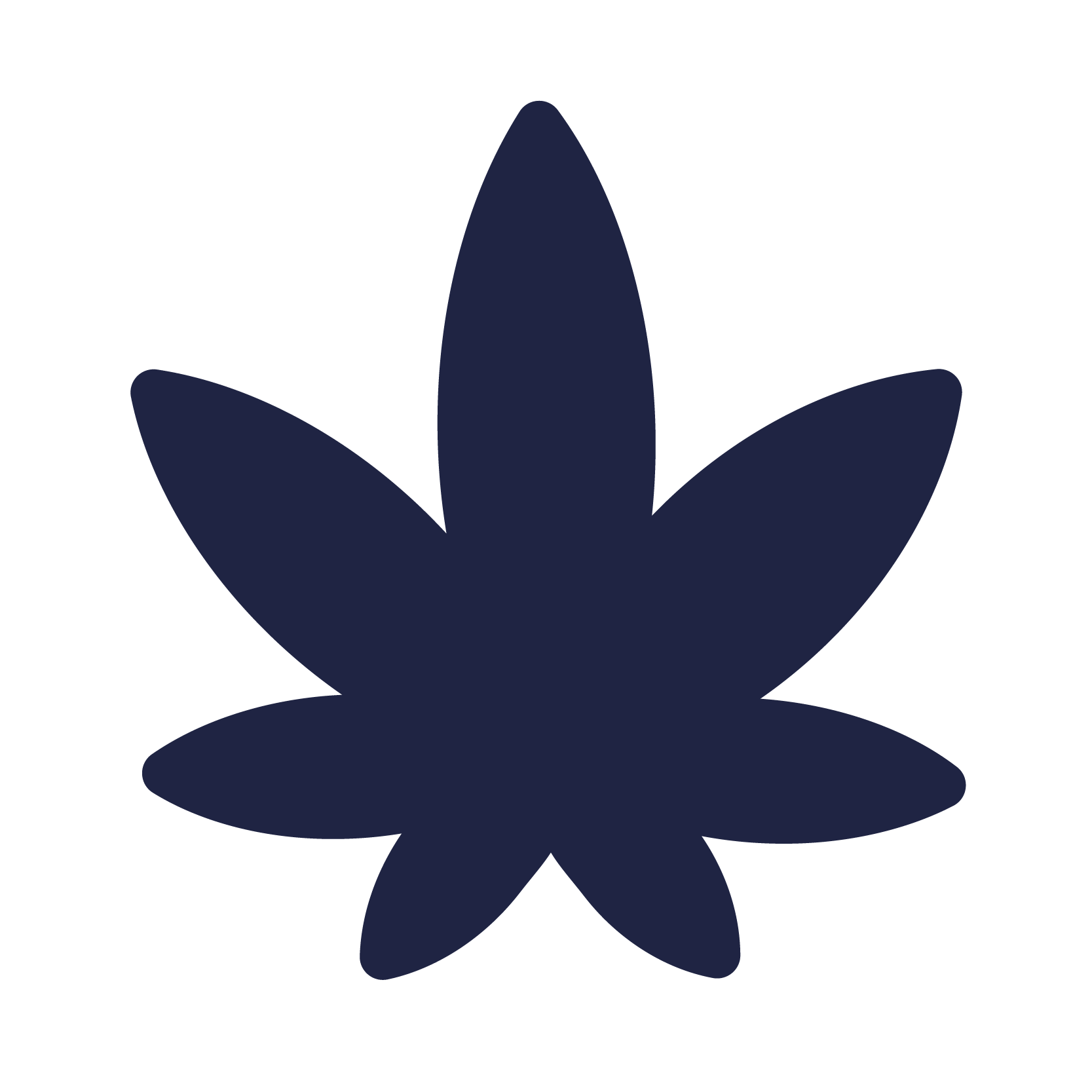 TEST TEST